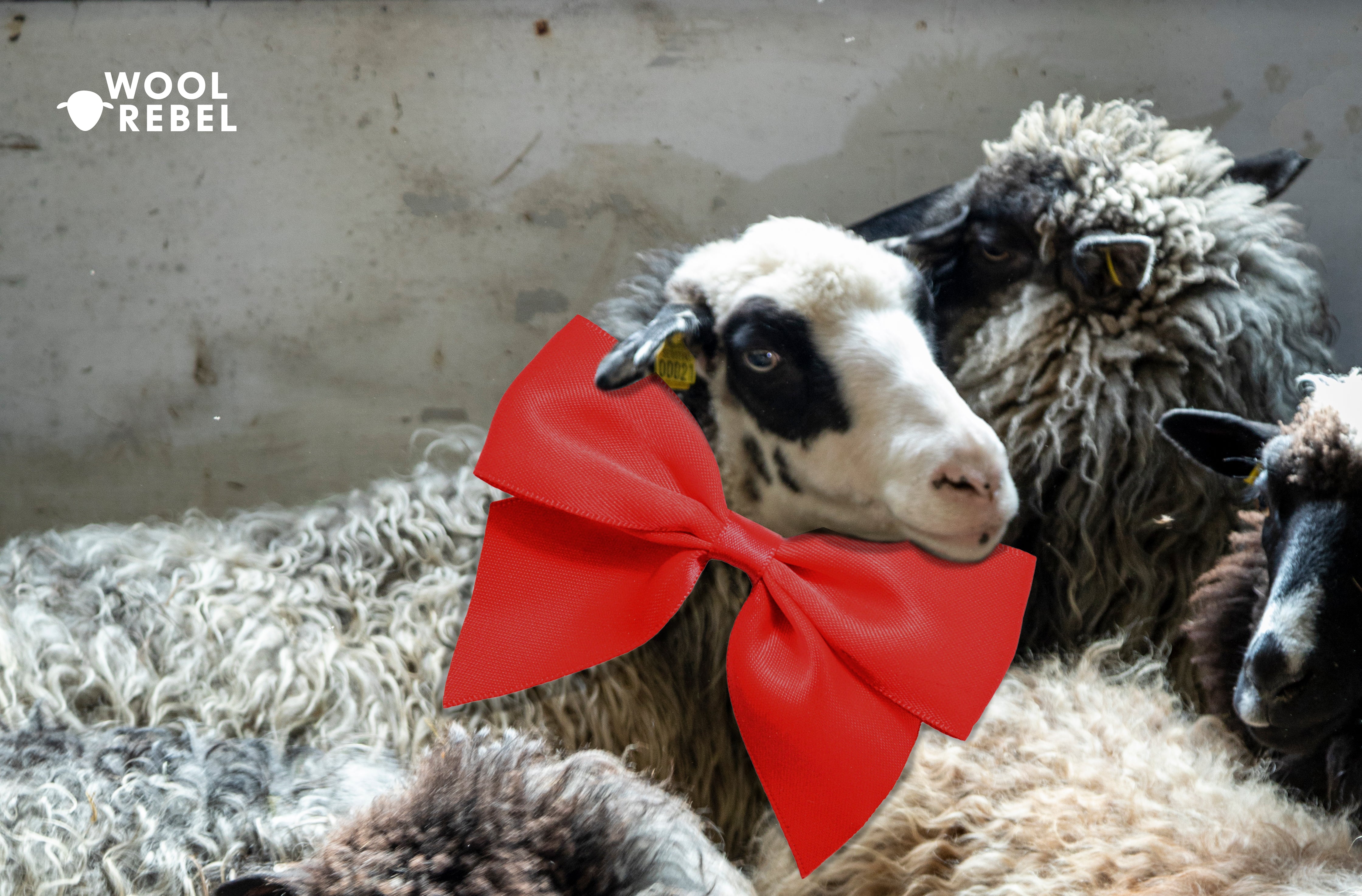 Wool Rebel Geschenkkarte