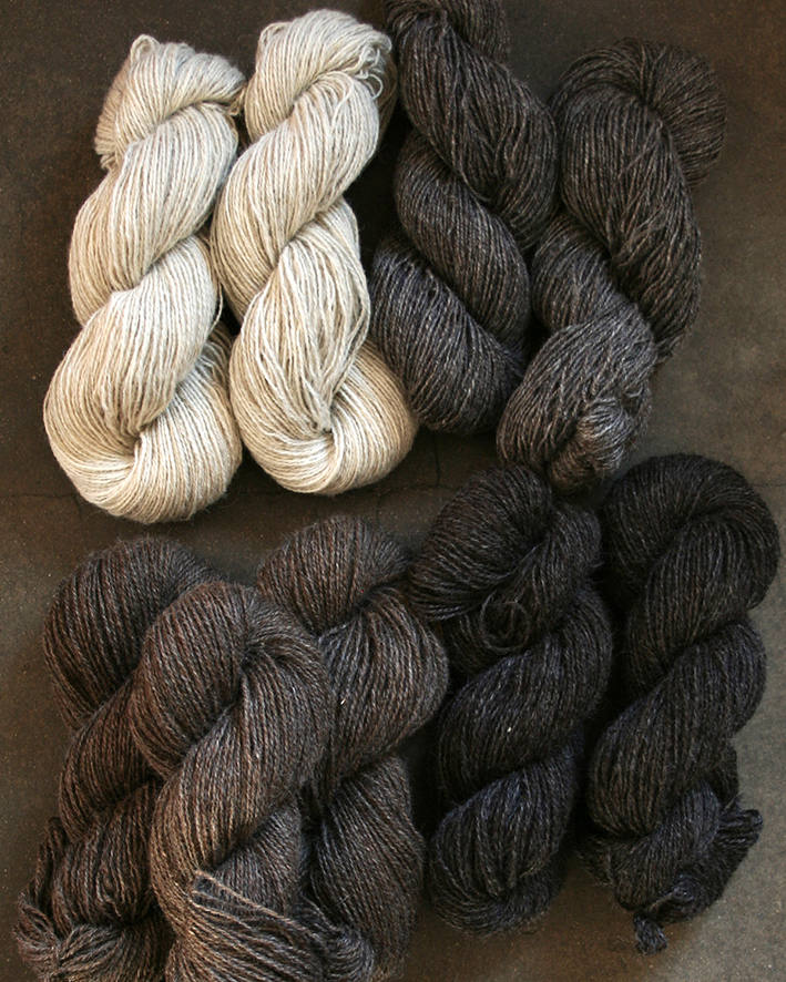 Shetland Sockar