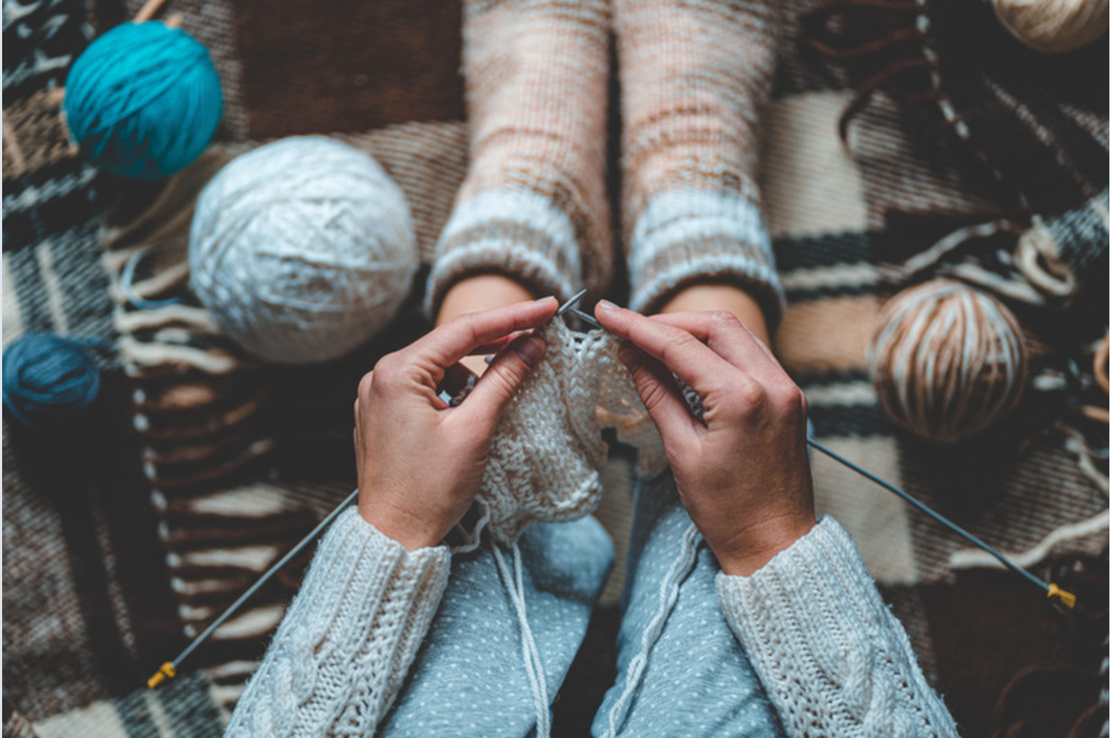 Shetland Sockar
